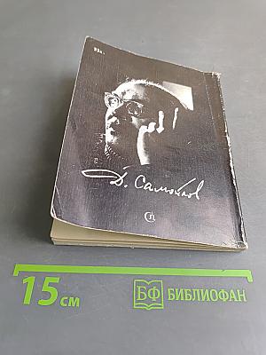 Залив