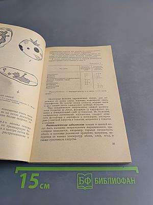 Хранение и переработка овощей и фруктов в домашних условиях