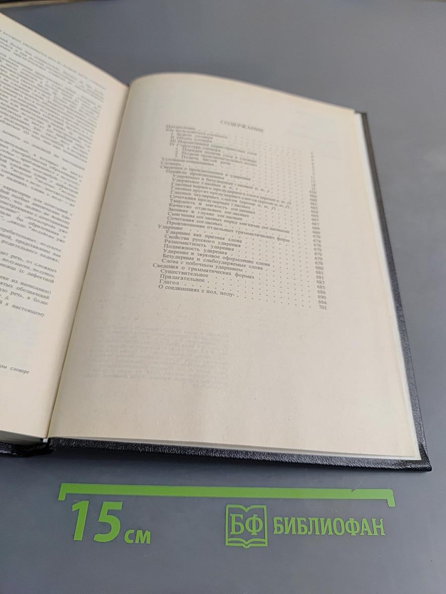 Орфоэпический словарь русского языка. Произношение, ударение, грамматические формы