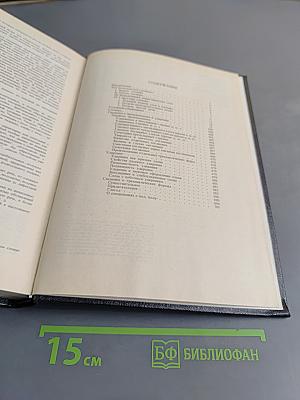 Орфоэпический словарь русского языка. Произношение, ударение, грамматические формы