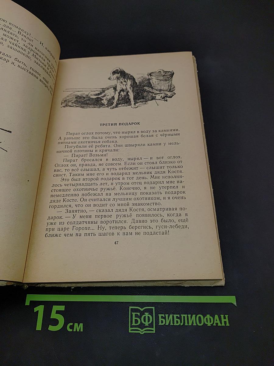 Красные меченосцы