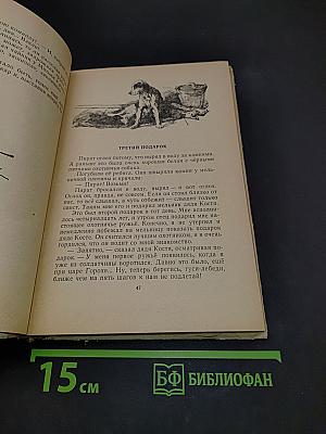 Красные меченосцы