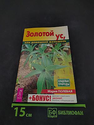 Золотой ус, или домашний женьшень