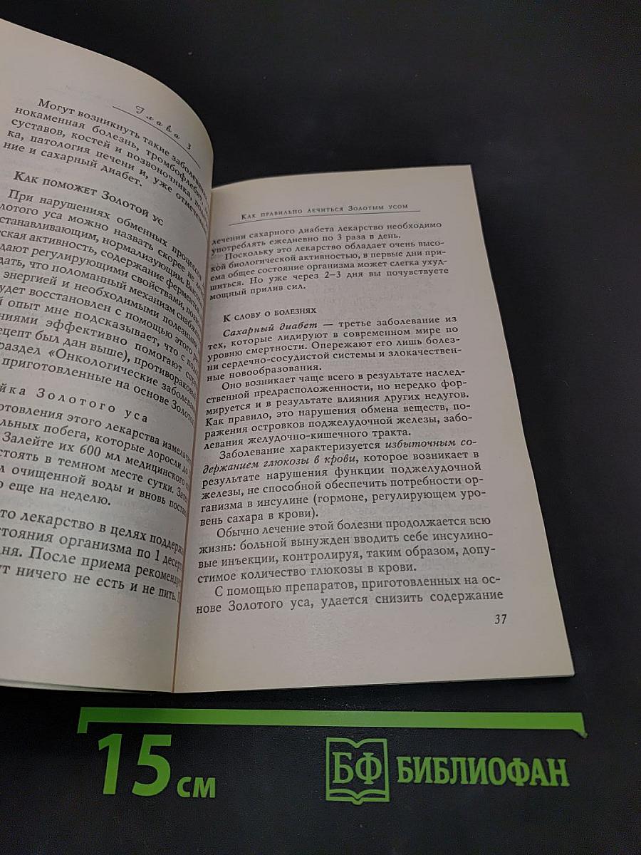 Золотой ус, или домашний женьшень
