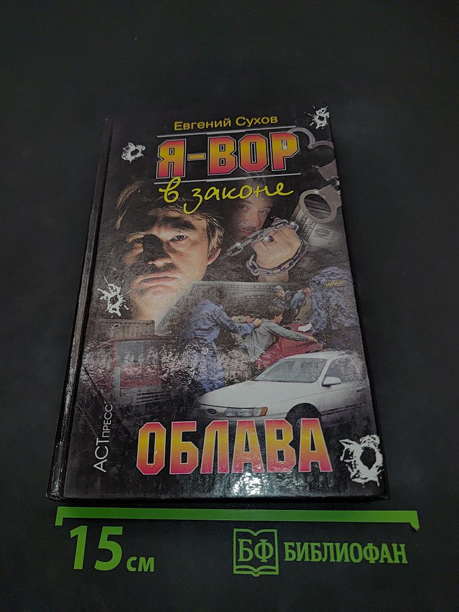 Я-вор в законе. Облава
