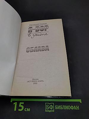 Я-вор в законе. Облава