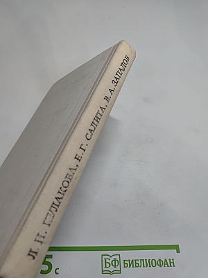 Радищев в Петербурге