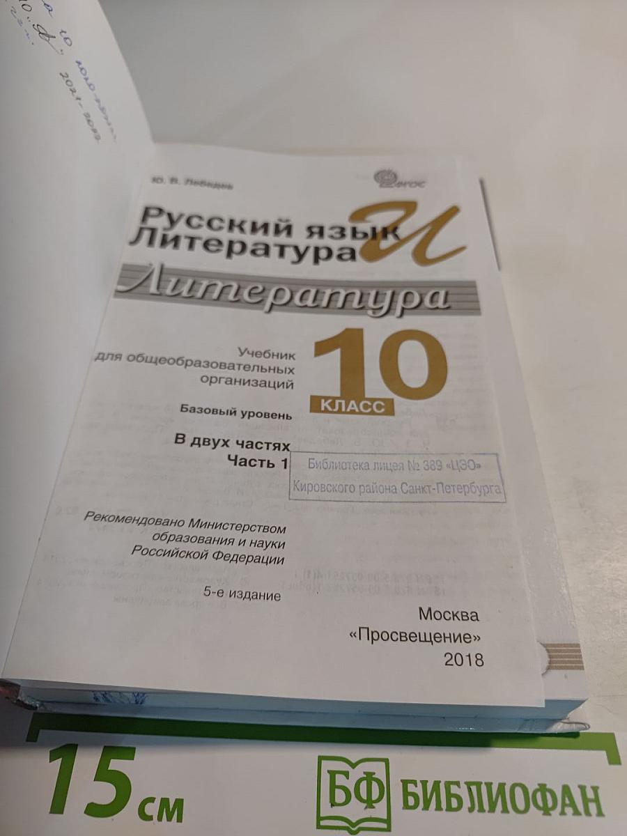 Литература. 10 класс. Базовый уровень. Часть 1