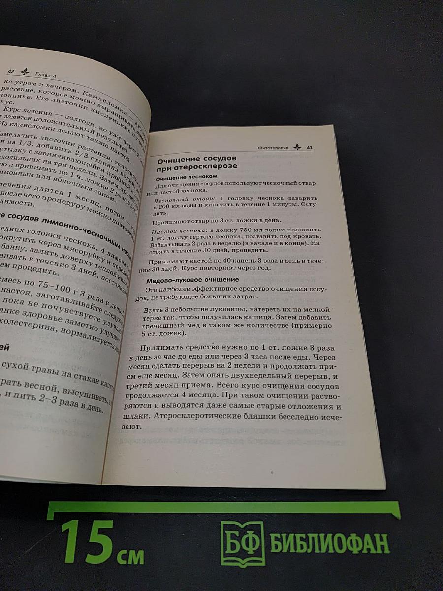 Естественное очищение сосудов и крови по Малахову