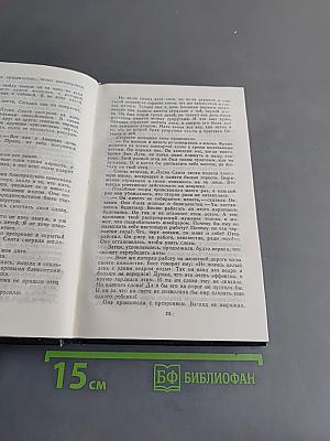 Счастливый пилигрим. Тёмная арена