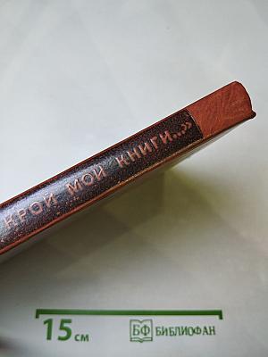 Открой мои книги... Разговор о Блоке