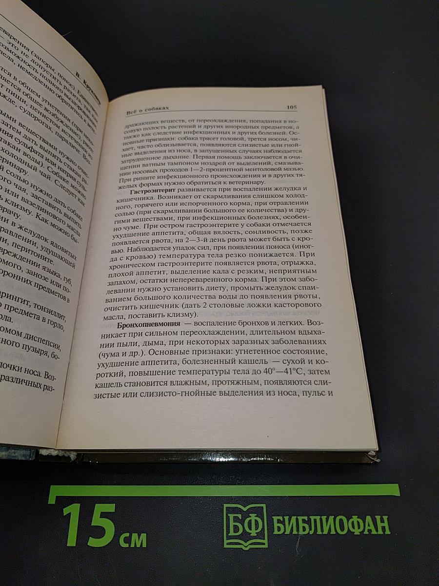 Всё о собаках