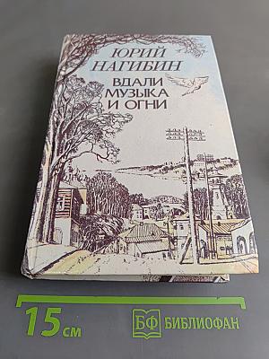 Вдали музыка и огни