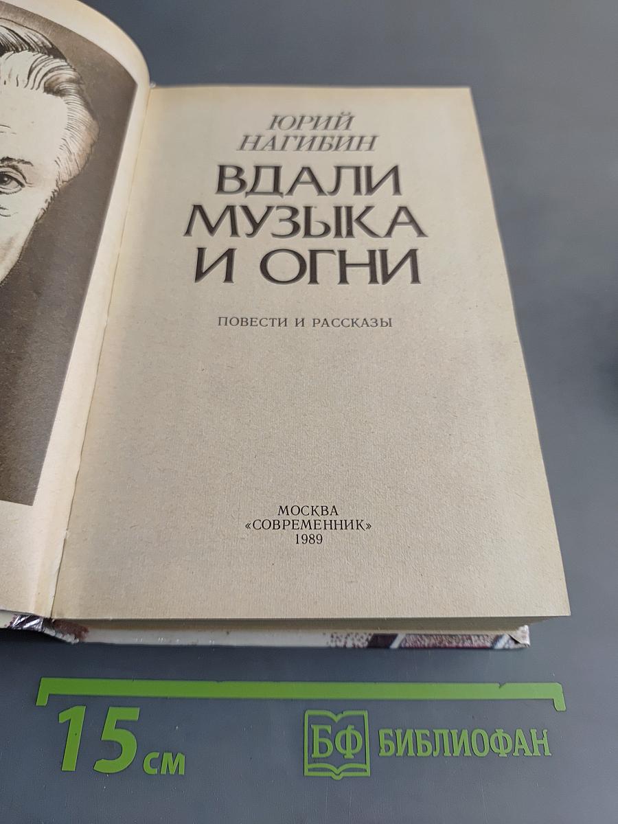 Вдали музыка и огни
