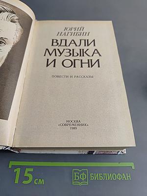 Вдали музыка и огни