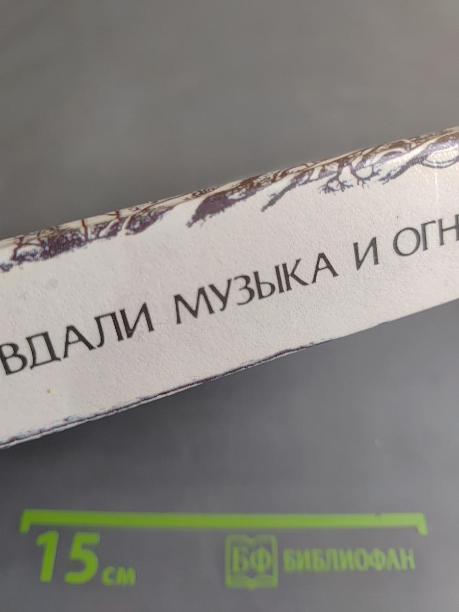 Вдали музыка и огни