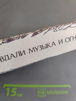 Вдали музыка и огни