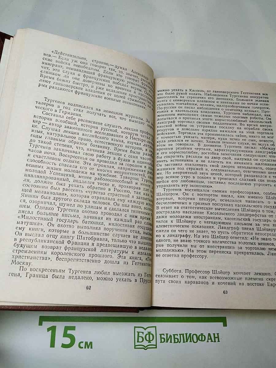 Повесть о братьях Тургеневых. Осуждение Паганини