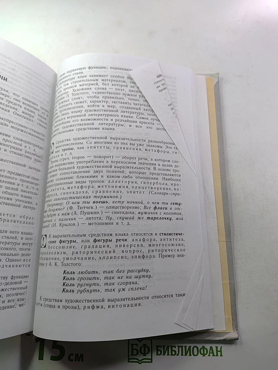 Русский язык. Грамматика. Текст. Стили речи. Учебник для 10-11 классов