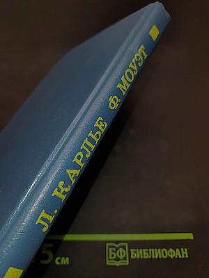 Тайна «Альтамаре». Проклятие могилы викинга
