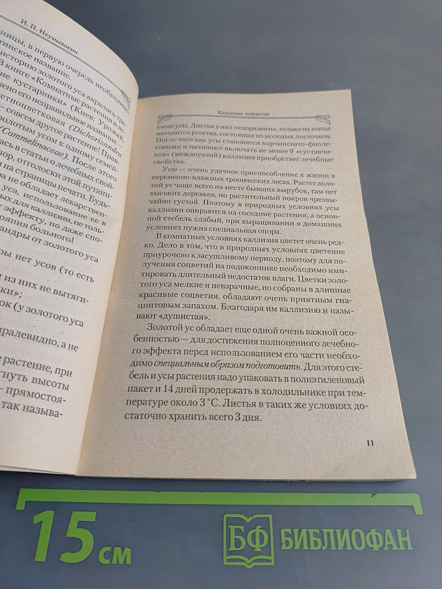 Каллизия душистая: Мифы и реальность