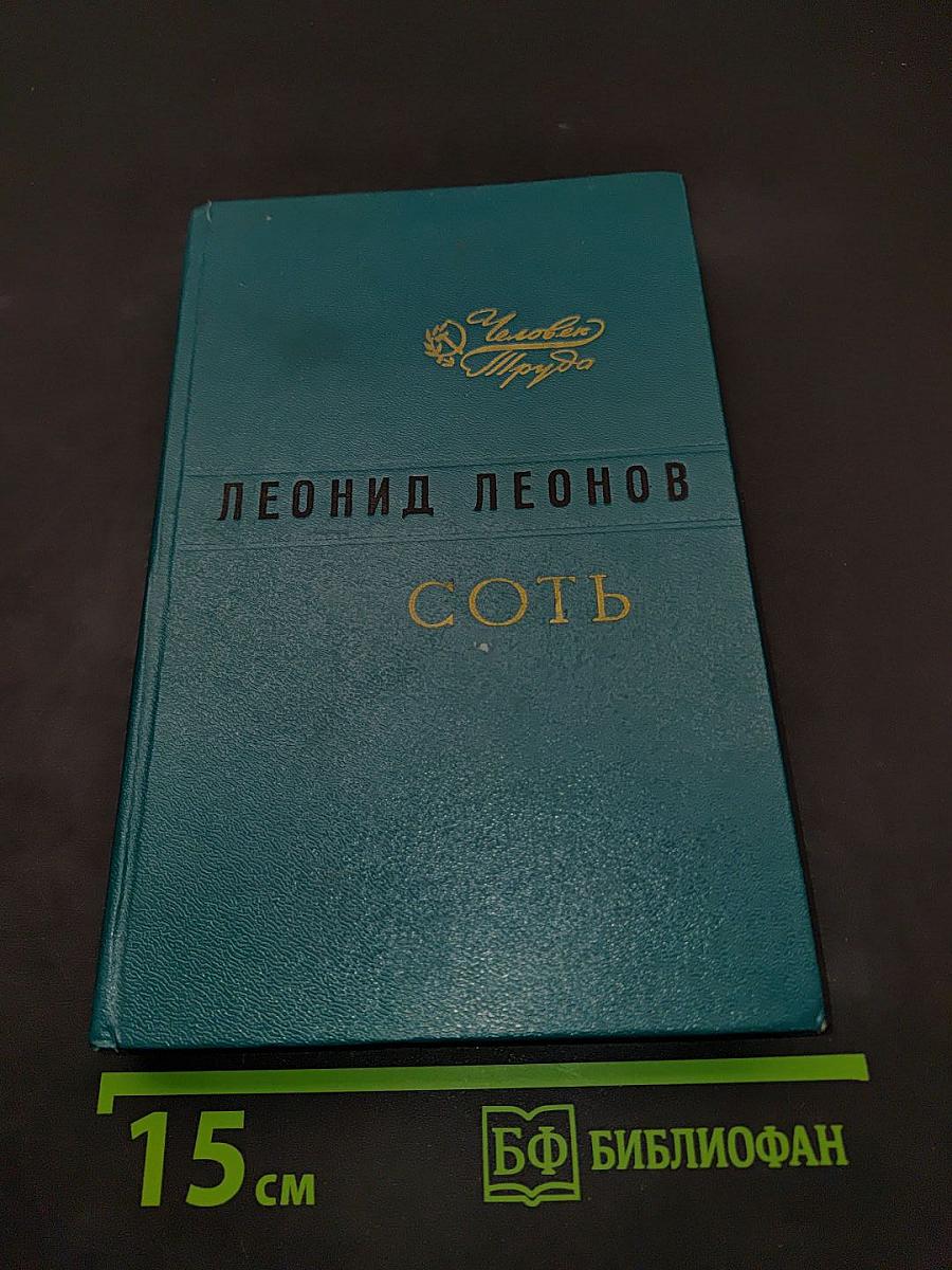 Соть