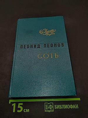 Соть