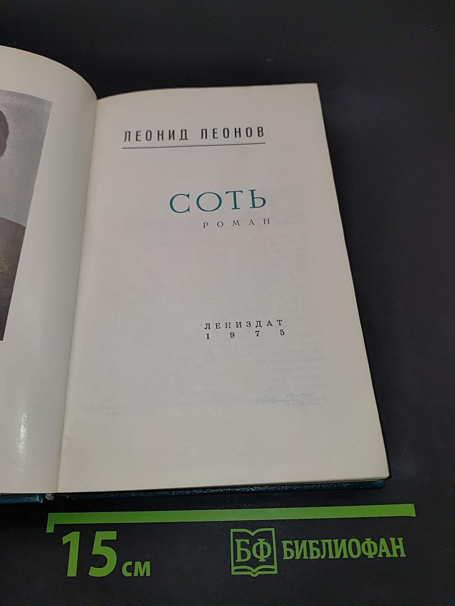 Соть