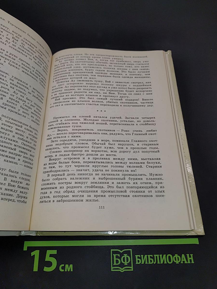 Листы каменной книги