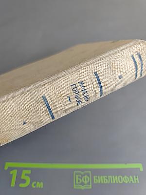 Жизнь Клима Самгина. Книга 4. Сорок лет