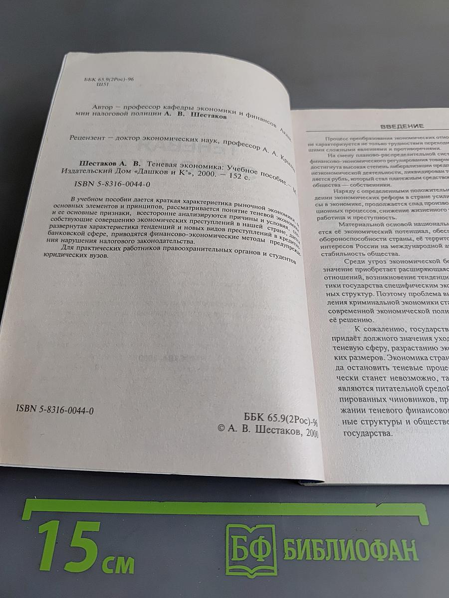 Теневая экономика