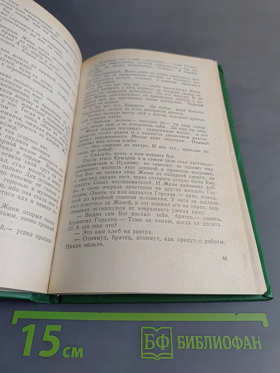 Счастье потерянной жизни. Трилогия. Книга 2