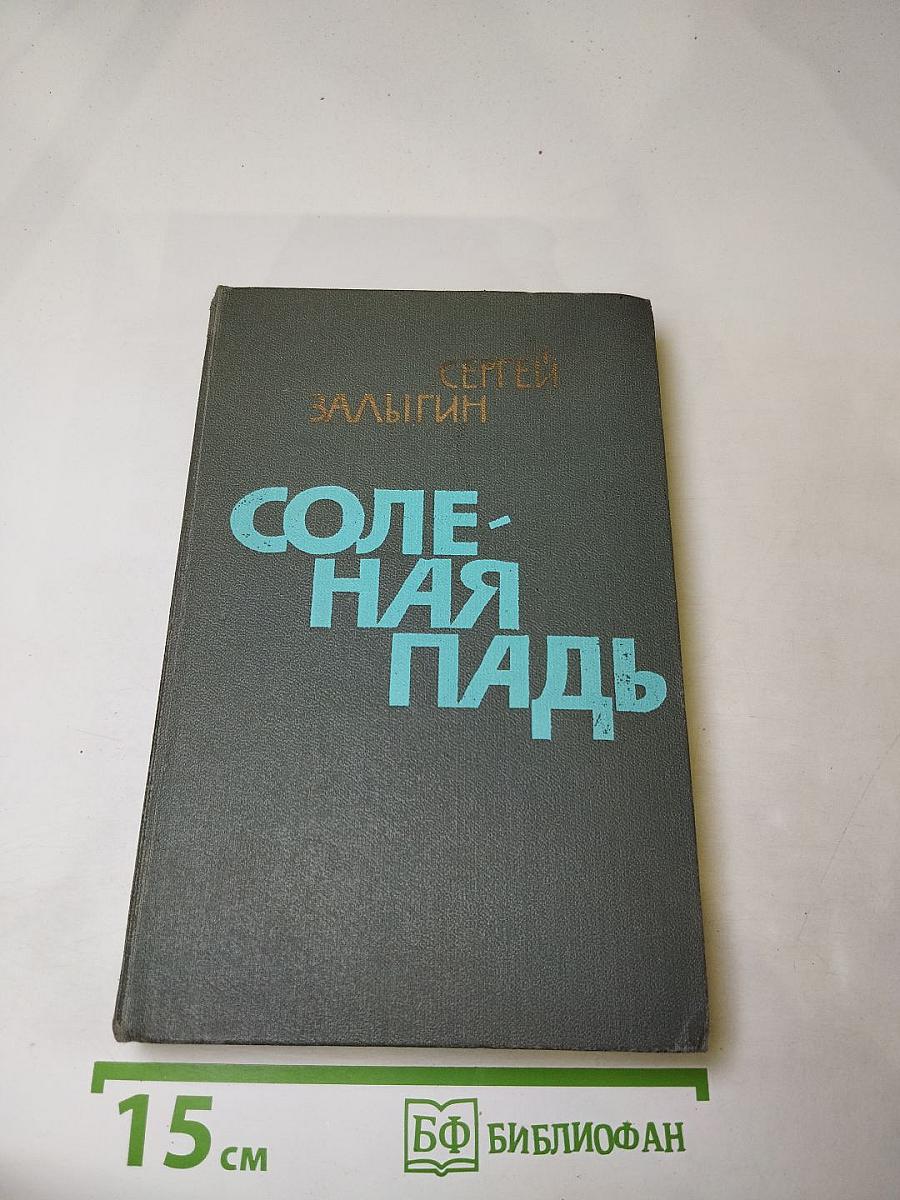 Соленая падь