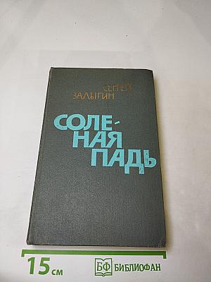 Соленая падь