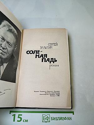 Соленая падь