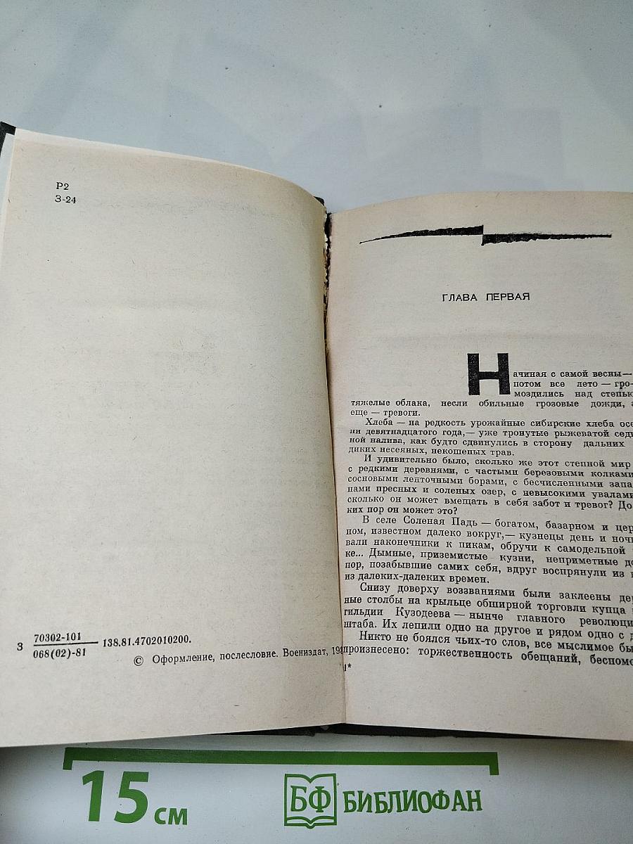 Соленая падь