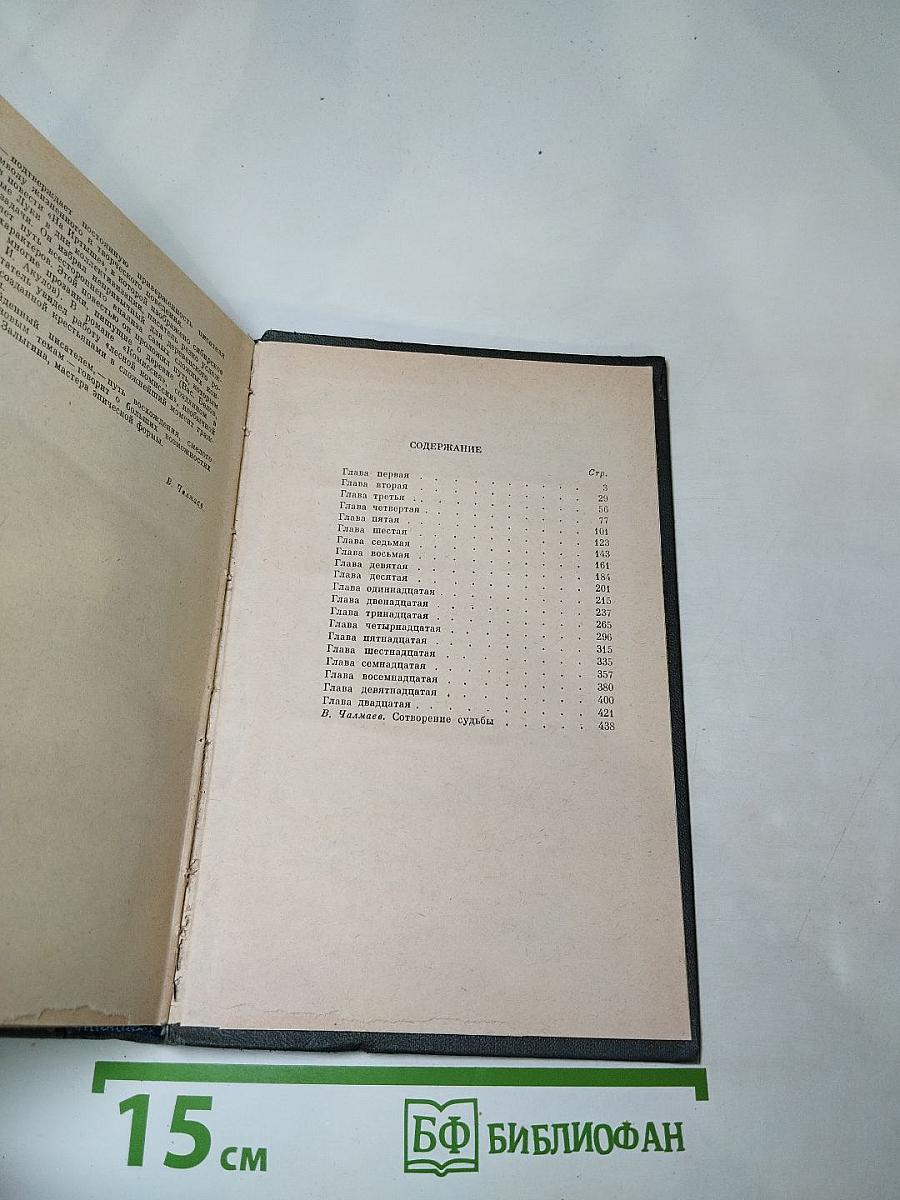 Соленая падь