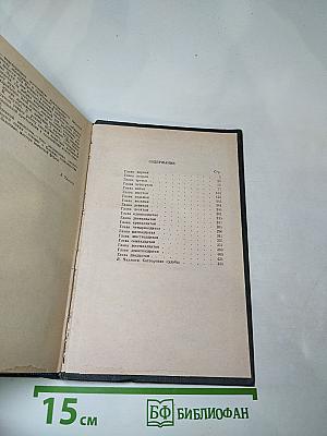 Соленая падь