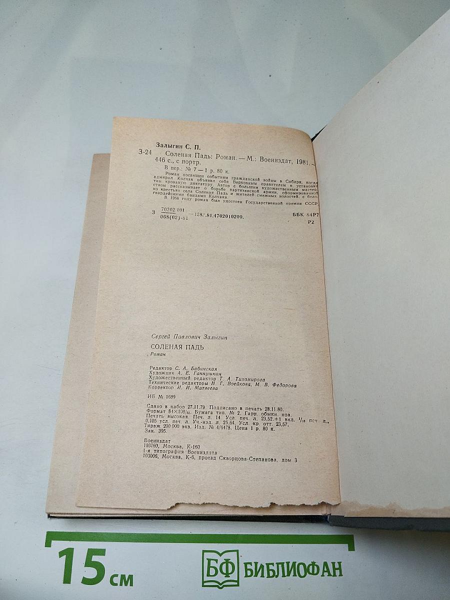 Соленая падь