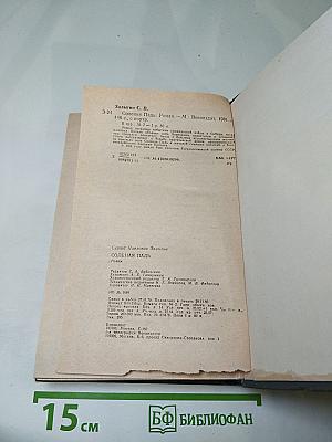 Соленая падь