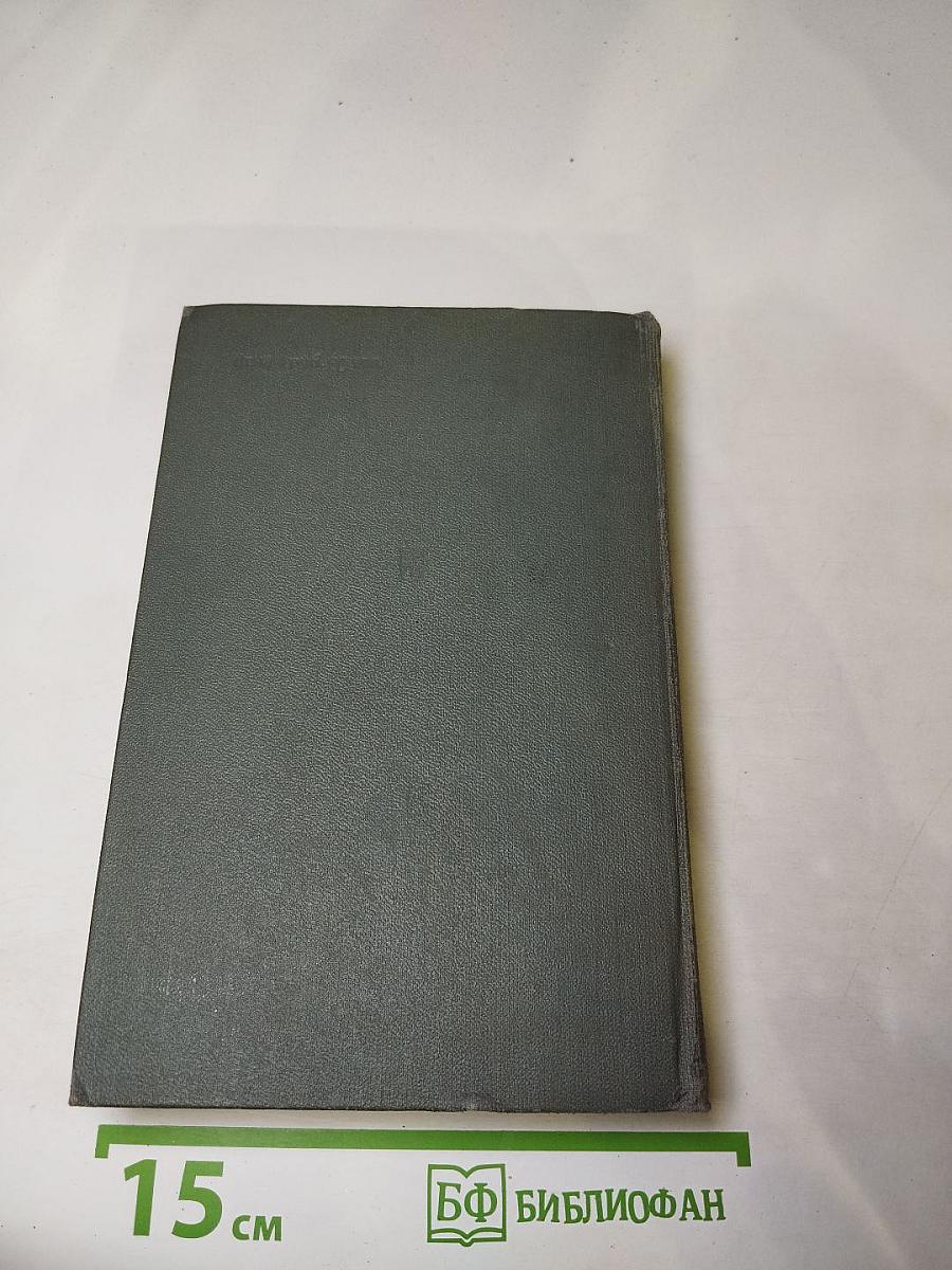 Соленая падь