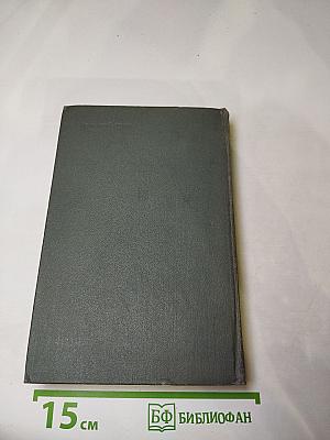 Соленая падь