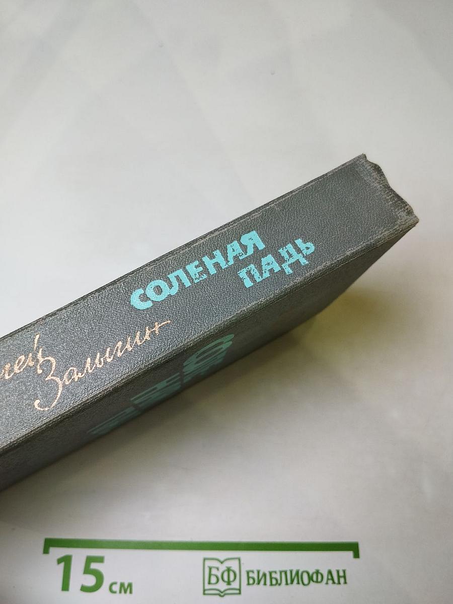 Соленая падь