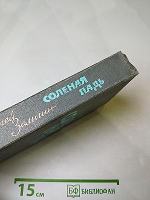 Соленая падь