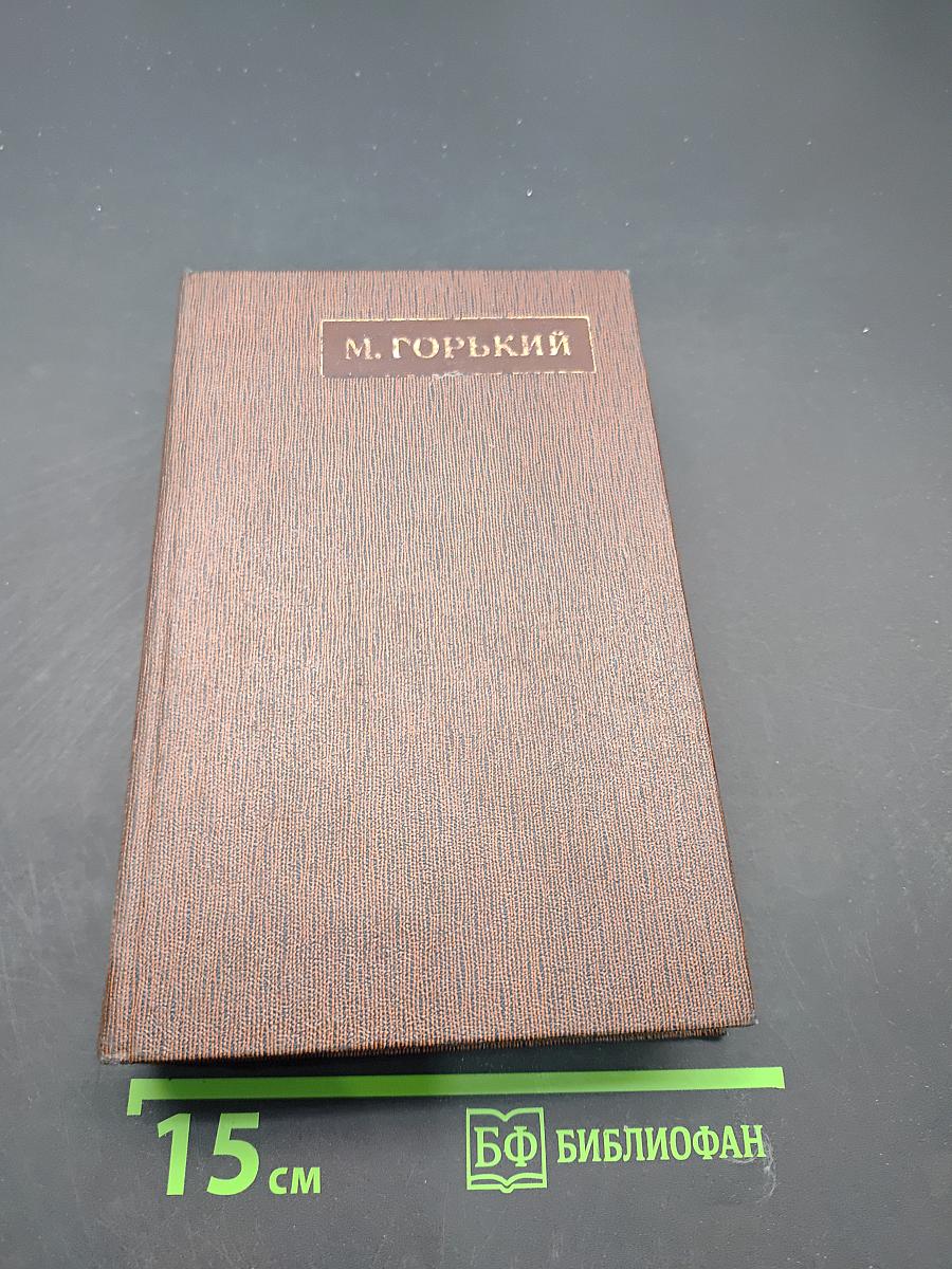 Собрание сочинений. Том двадцать пятый. Жизнь Клима Самгина (сорок лет) 1925-1936. Заметки, наброски, указатели
