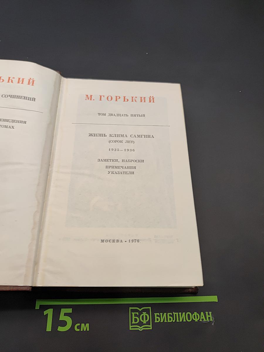 Собрание сочинений. Том двадцать пятый. Жизнь Клима Самгина (сорок лет) 1925-1936. Заметки, наброски, указатели