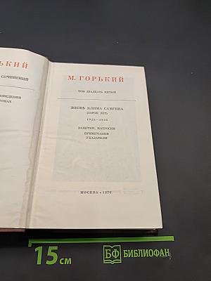 Собрание сочинений. Том двадцать пятый. Жизнь Клима Самгина (сорок лет) 1925-1936. Заметки, наброски, указатели