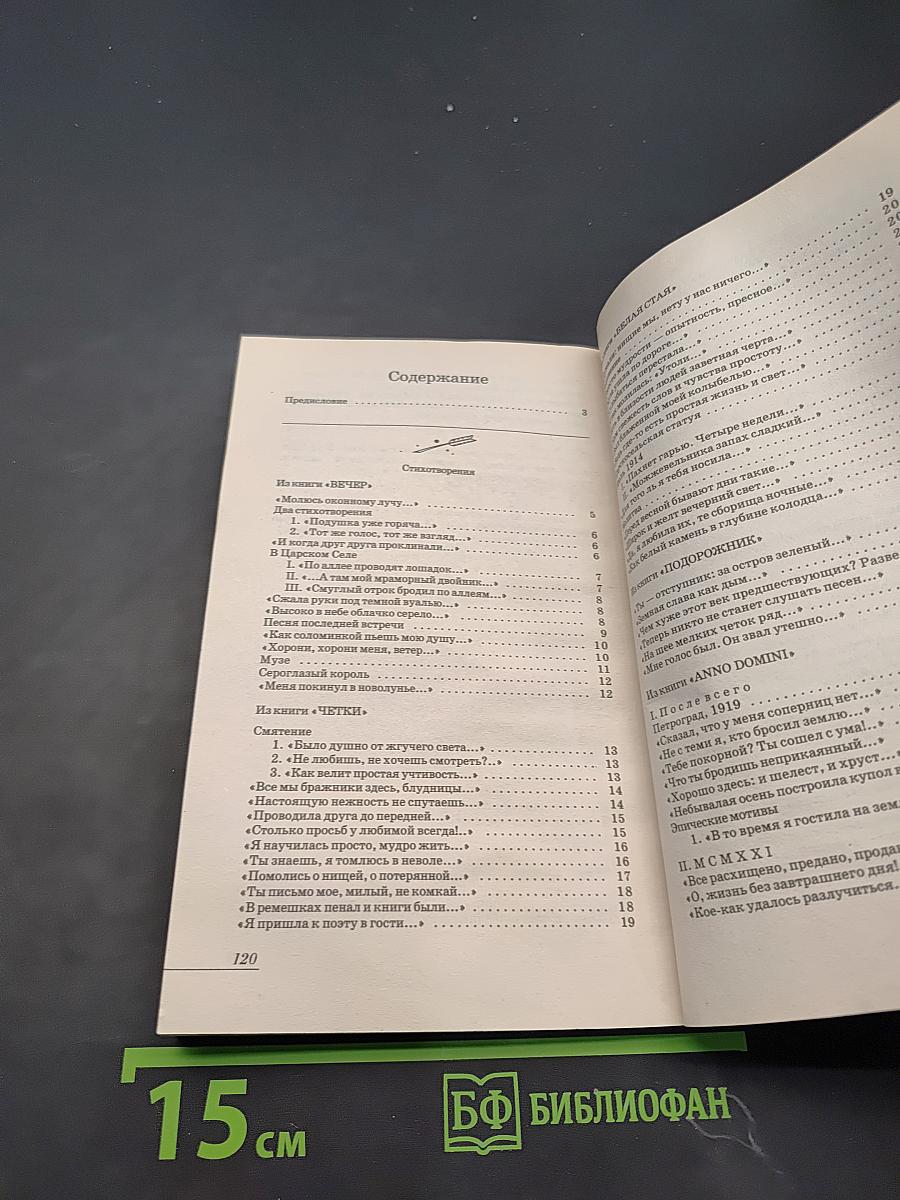 Стихотворения. Поэма. Анализ текста. Основное содержание сочинения