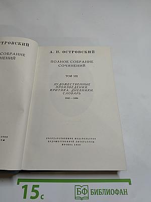 Полное собрание сочинений. Том XIII. Художественные произведения. Критика. Дневники. Словарь. 1843–1886