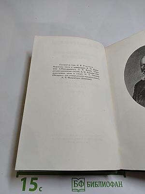 Полное собрание сочинений. Том XIII. Художественные произведения. Критика. Дневники. Словарь. 1843–1886